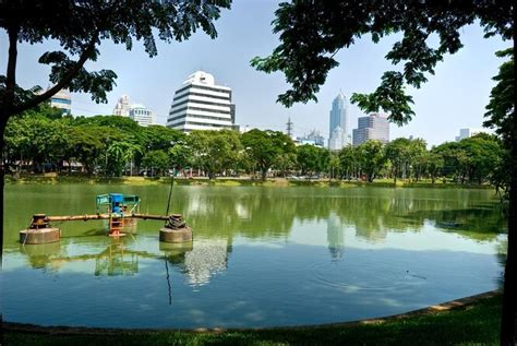 有鳥|曼谷倫披尼公園 泰國水燈節必去(Lumphini Park)